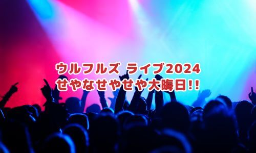 ウルフルズ ライブ2024 せやなせやせや大晦日!!