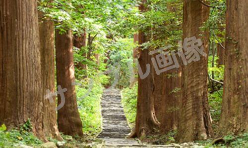 出羽三山神社