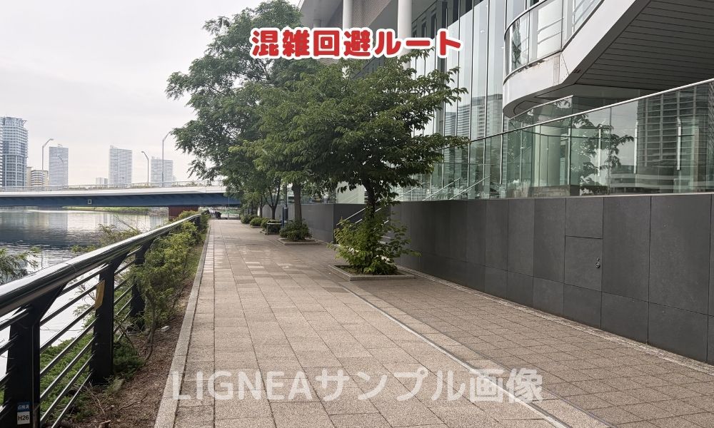 Kアリーナ横浜ルート3